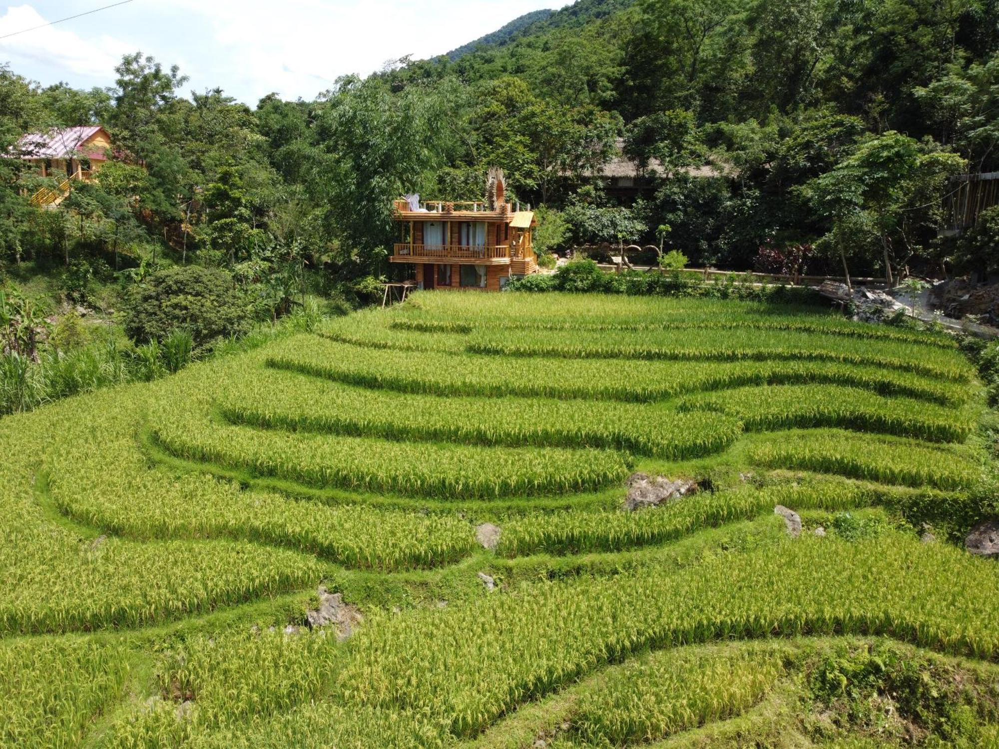 Pu Luong Jungle Lodge ภายนอก รูปภาพ