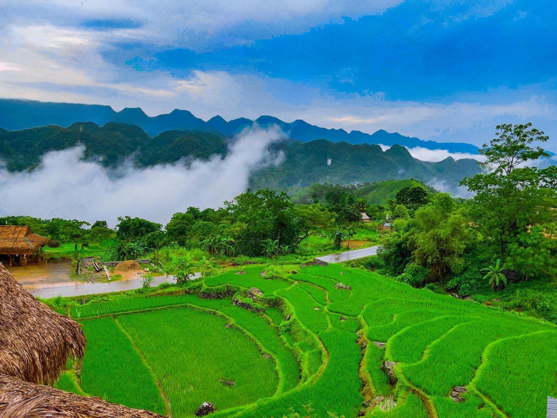 Pu Luong Jungle Lodge ภายนอก รูปภาพ