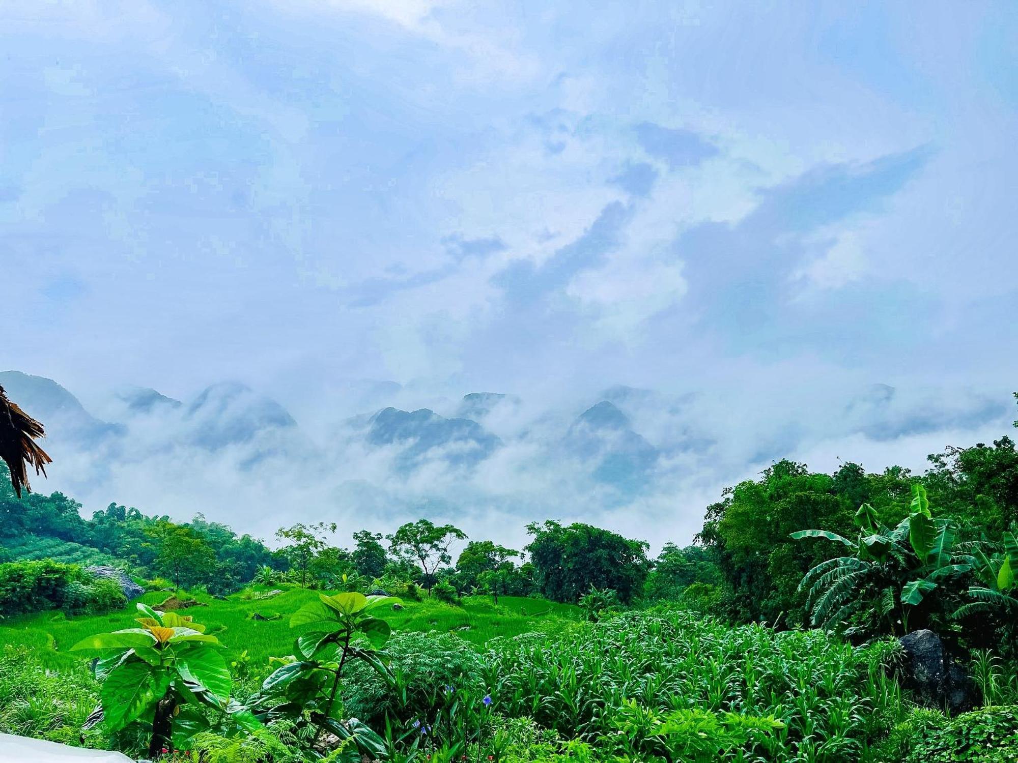 Pu Luong Jungle Lodge ภายนอก รูปภาพ