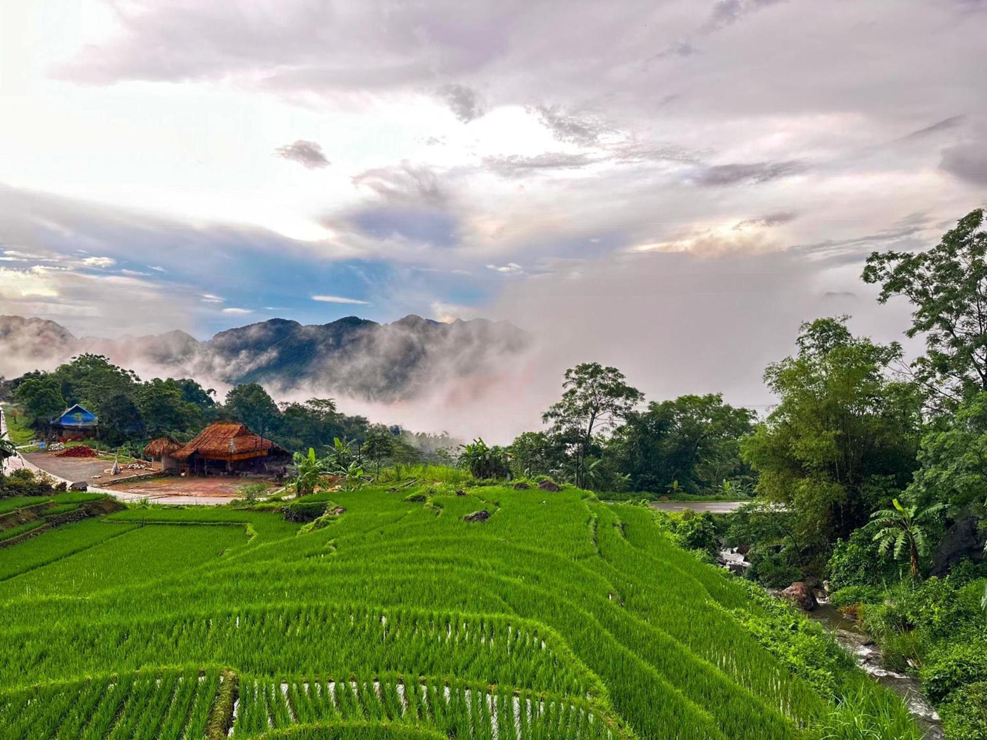 Pu Luong Jungle Lodge ภายนอก รูปภาพ