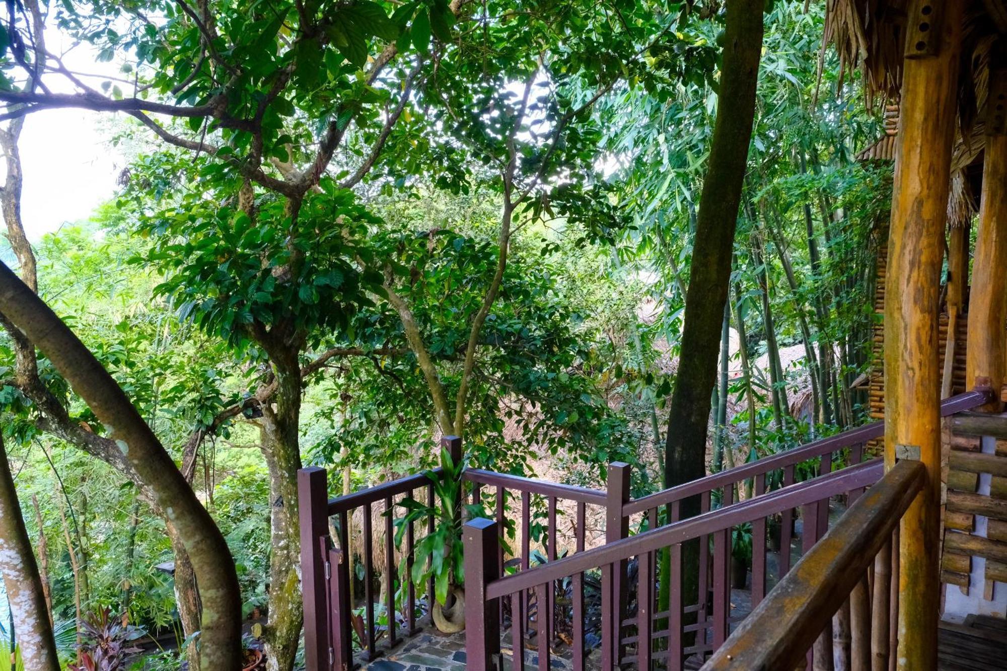 Pu Luong Jungle Lodge ภายนอก รูปภาพ